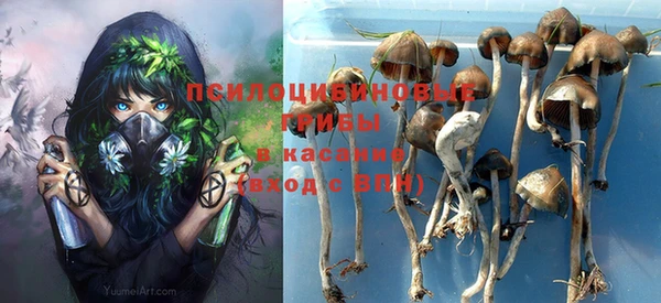 дмт Алексин