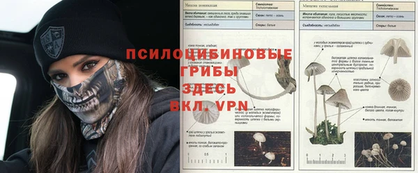 дмт Алексин