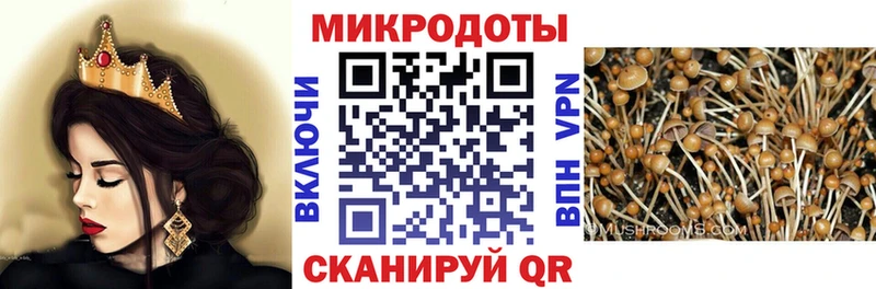 Галлюциногенные грибы GOLDEN TEACHER  Навашино 